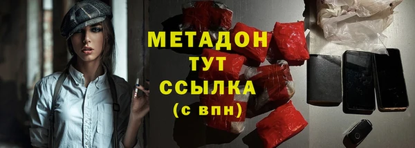 индика Бикин