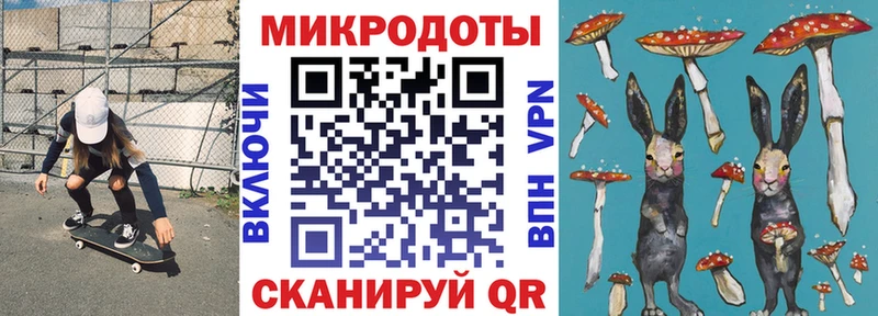 купить   Почеп  Псилоцибиновые грибы Psilocybine cubensis 